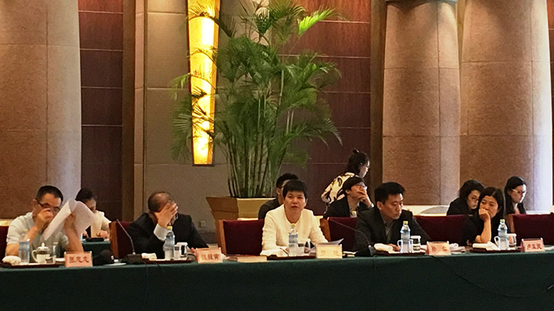 罗艳董事长_二十不惑罗艳